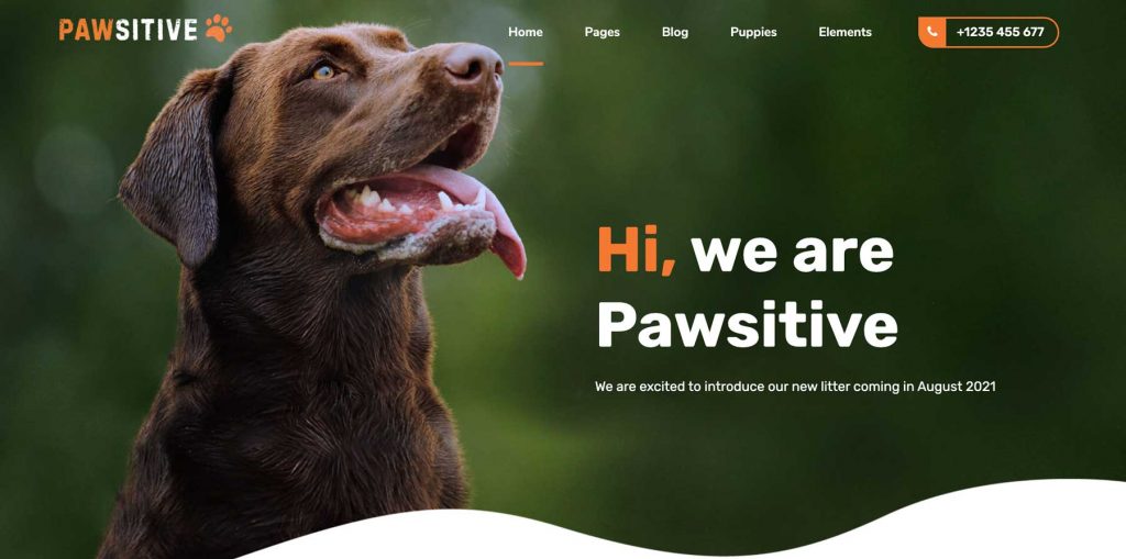 dog breeder website image