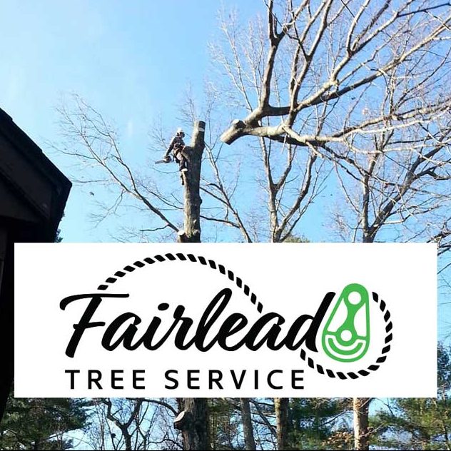 tree-cutting-company